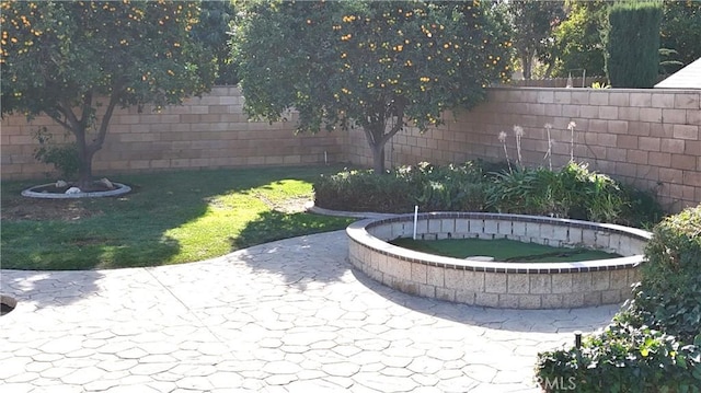 view of yard with a patio area and a fenced backyard