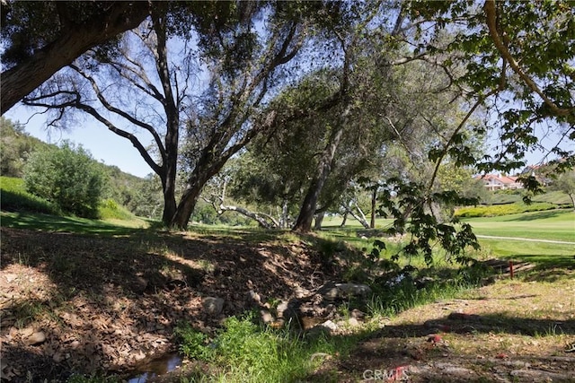 28766 Vista Valley Dr, Vista, CA 92084 - photo 47