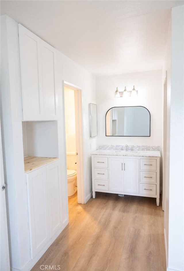 bathroom featuring vanity, toilet, and wood finished floors