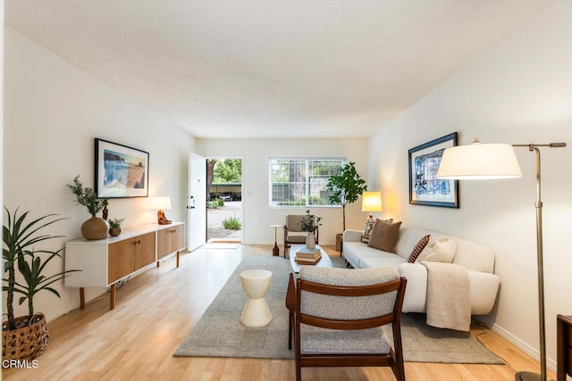 living area featuring light wood-style flooring