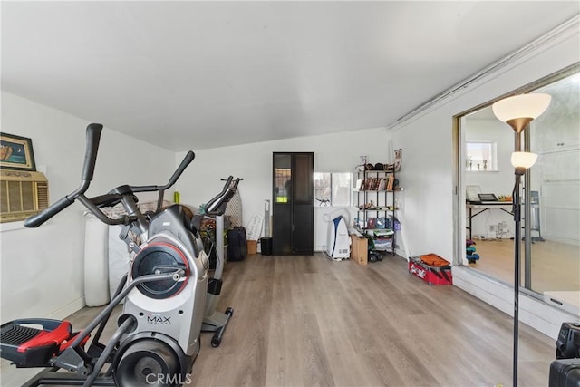 workout area featuring wood finished floors