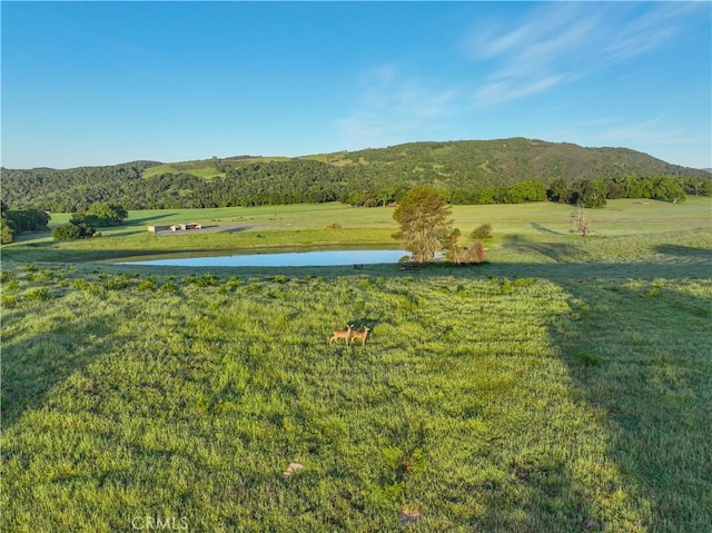 5161 Vineyard Dr, Paso Robles, CA 93446 - photo 51