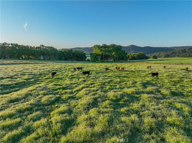 5161 Vineyard Dr, Paso Robles, CA 93446 - photo 49