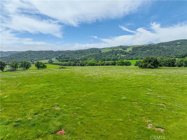 5161 Vineyard Dr, Paso Robles, CA 93446 - photo 63