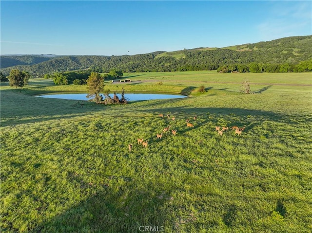 5161 Vineyard Dr, Paso Robles, CA 93446 - photo 52