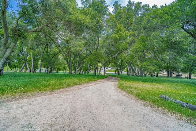 5161 Vineyard Dr, Paso Robles, CA 93446 - photo 60