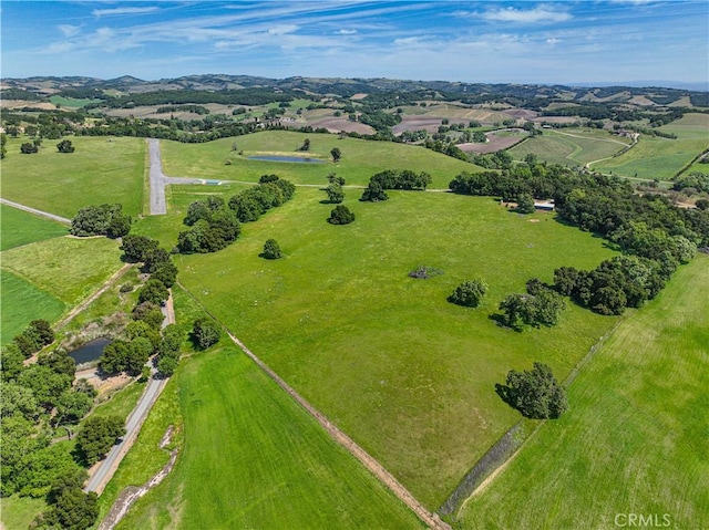5161 Vineyard Dr, Paso Robles, CA 93446 - photo 55