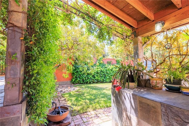 view of yard with a patio