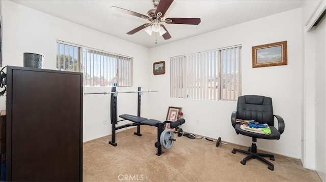 workout area with a ceiling fan and carpet