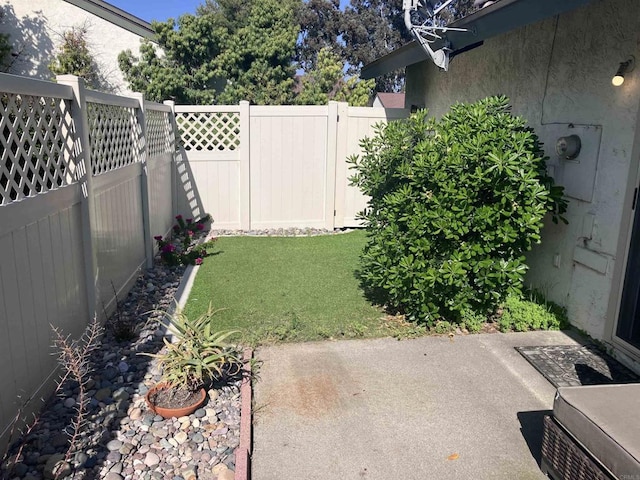 view of yard with a patio and a fenced backyard