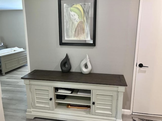 interior details with baseboards and wood finished floors