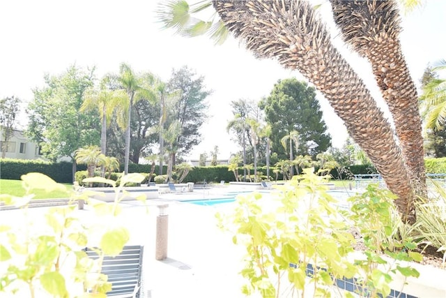 5727 E Stillwater Ave Unit 5, Orange, CA 92869 - surrounding community with a patio and a swimming pool