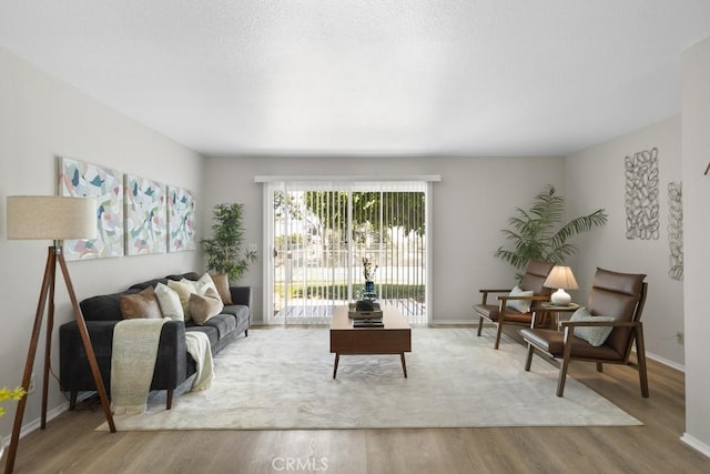 living room featuring baseboards and wood finished floors