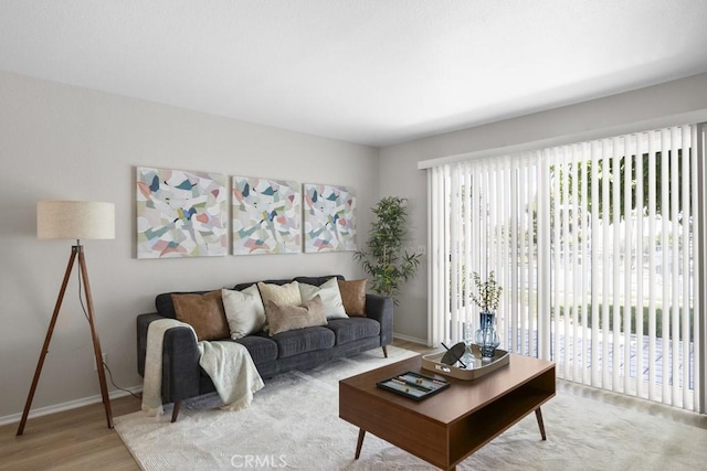 living room featuring baseboards and wood finished floors
