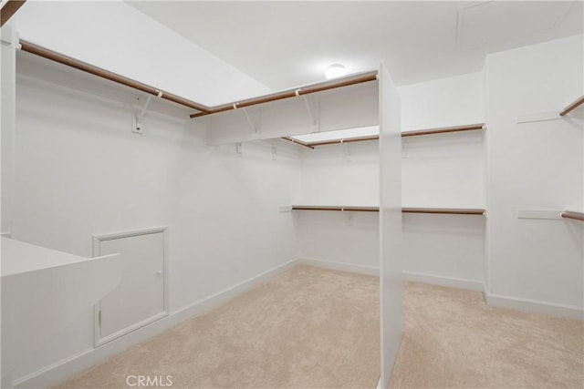 walk in closet featuring carpet