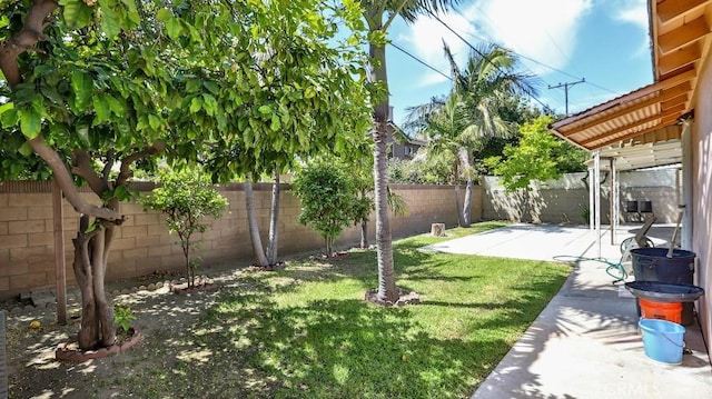 view of yard with a patio and a fenced backyard
