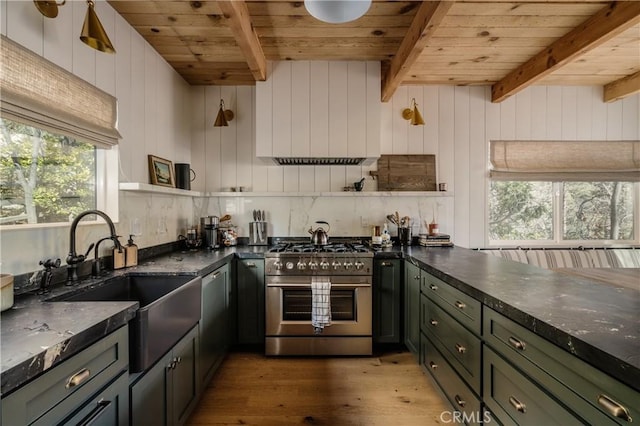 28805 N Shore Rd, Lake Arrowhead, CA 92352 - kitchen with wooden ceiling, appliances with stainless steel finishes, and a sink