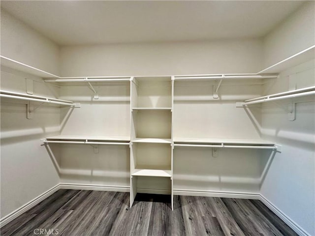 spacious closet featuring wood finished floors