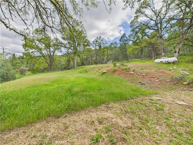 5829 E Whitlock Rd, Mariposa, CA 95338 - photo 28