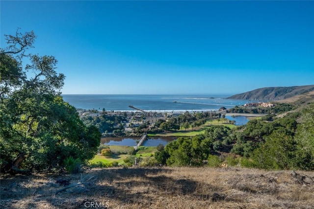 2665 Vista De Avila, Avila Beach, CA 93424 - photo 7