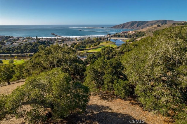 2665 Vista De Avila, Avila Beach, CA 93424 - photo 4