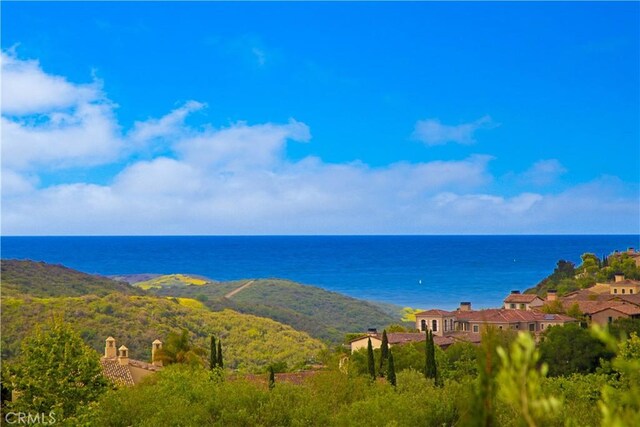 6 Canyon Peak, Newport Coast, CA 92657 - photo 15