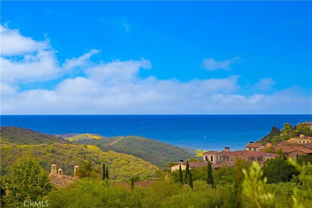 6 Canyon Peak, Newport Coast, CA 92657 - photo 1