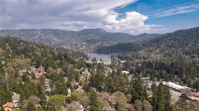 view of mountain feature with a water view and a wooded view