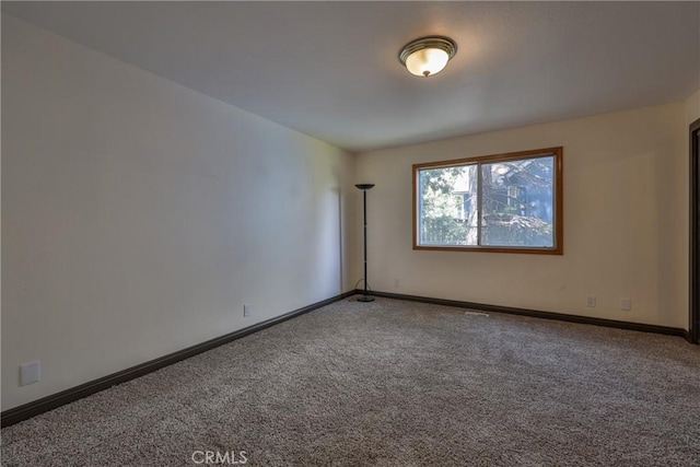 spare room with baseboards and carpet flooring
