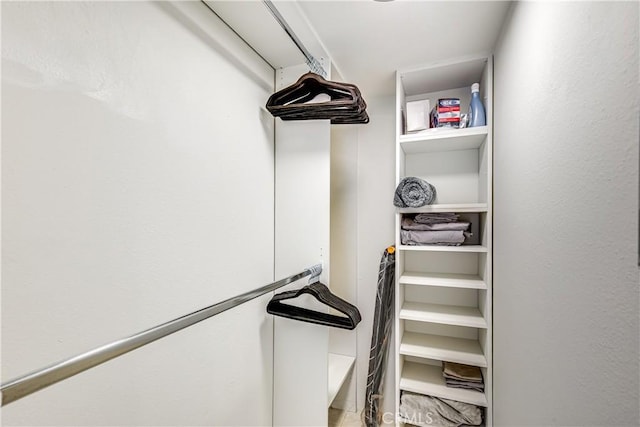 1100 E Amado Rd Unit 11A1, Palm Springs, CA 92262 - view of spacious closet