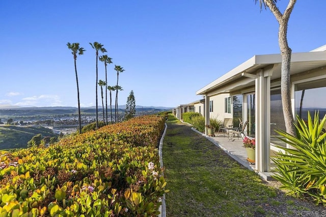 view of yard with a patio