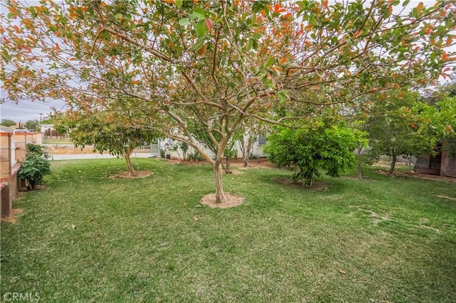 10180 Eddystone St, Riverside, CA 92503 - view of yard