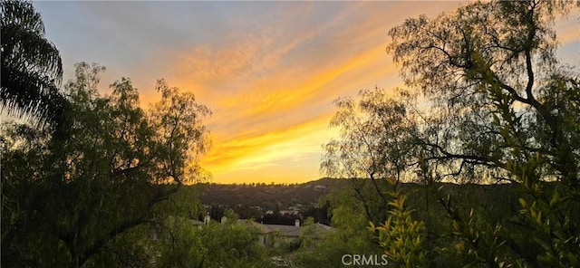 view of nature at dusk