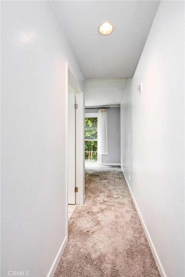 corridor with carpet flooring and baseboards