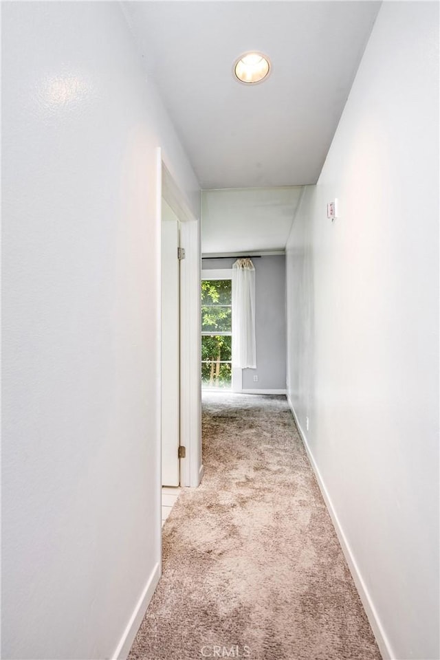1401 S Bentley Ave Unit 203, Los Angeles, CA 90025 - corridor with carpet and baseboards