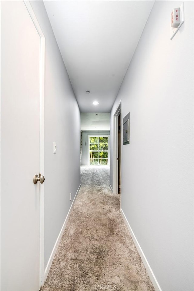 1401 S Bentley Ave Unit 203, Los Angeles, CA 90025 - hall featuring carpet floors, baseboards, and recessed lighting