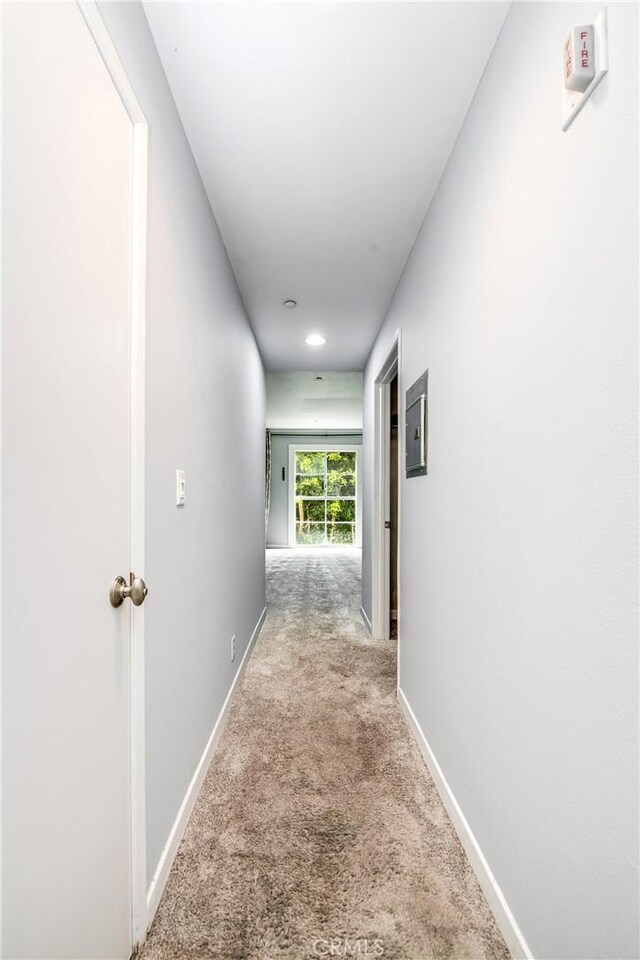 1401 S Bentley Ave Unit 203, Los Angeles, CA 90025 - hall featuring carpet floors, baseboards, and recessed lighting