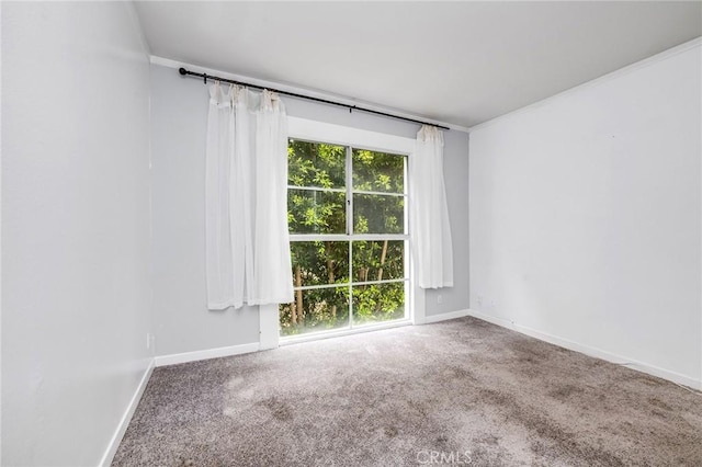 carpeted spare room with crown molding and baseboards
