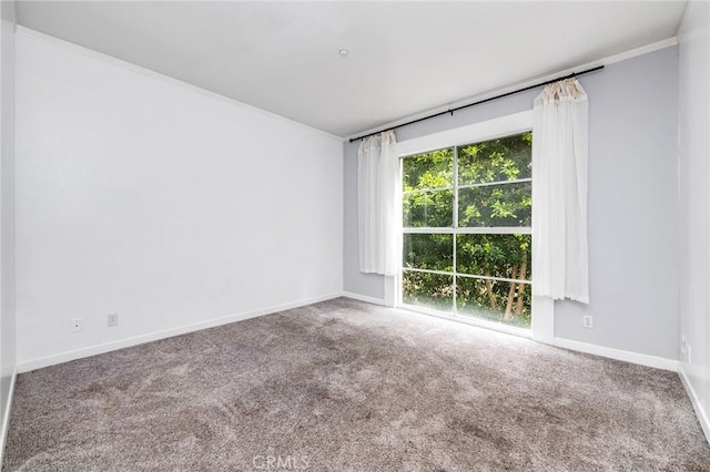 spare room with baseboards, ornamental molding, and carpet