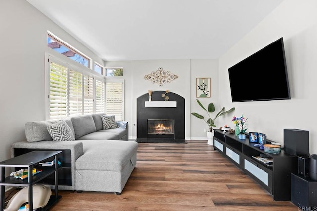 living room with a glass covered fireplace and wood finished floors