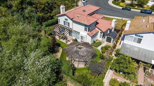 drone / aerial view