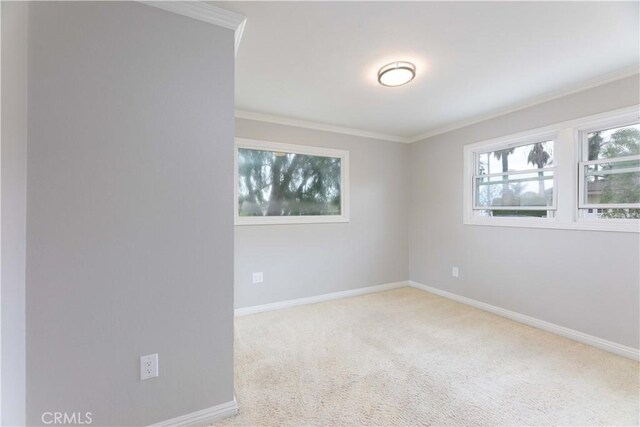 empty room featuring baseboards, crown molding, and carpet flooring