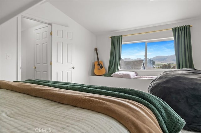 bedroom featuring lofted ceiling