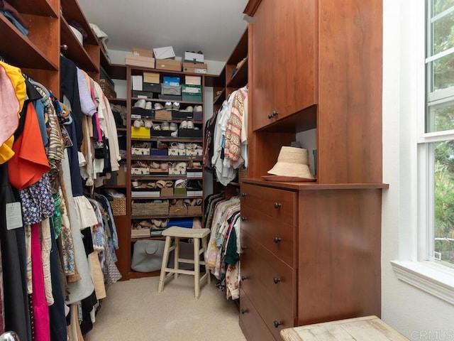 walk in closet with carpet floors