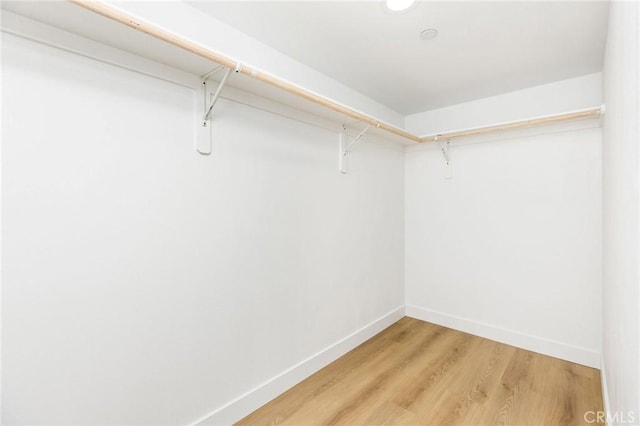 spacious closet with light wood finished floors