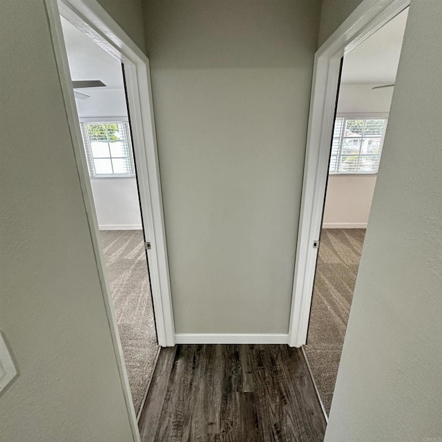 hall with plenty of natural light, baseboards, and wood finished floors