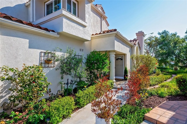 entrance to property with stucco siding and a tiled roof