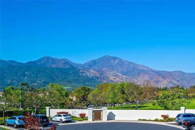 view of mountain feature