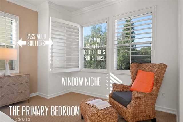 473 Periwinkle St, Fullerton, CA 92835 - living area with carpet flooring, baseboards, crown molding, and healthy amount of natural light