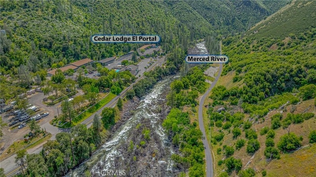 aerial view with a view of trees